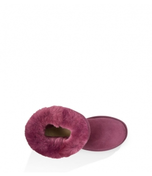 KID's Classic Short Violet 5251